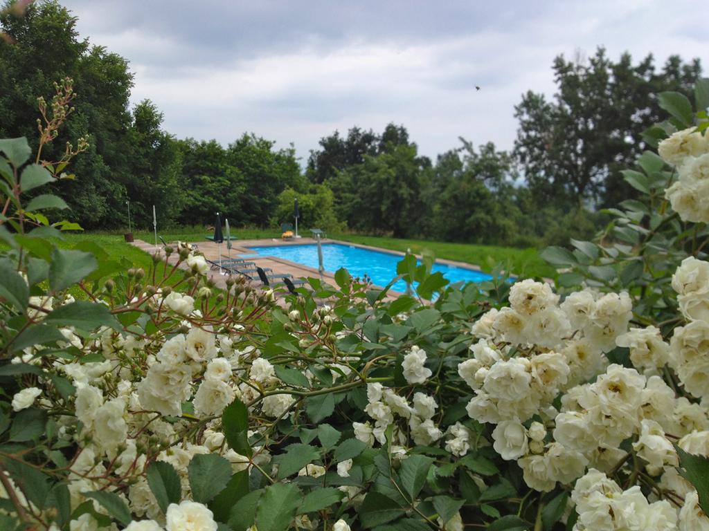 Agriturismo Famiglia Al Castello Di Bagnolo Bagnolo Piemonte Номер фото
